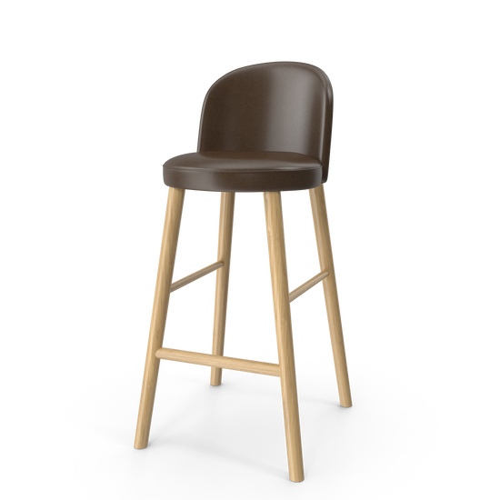 Modern Leather Bar Stool