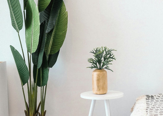 Bedroom_Picture_from_Unsplash_2