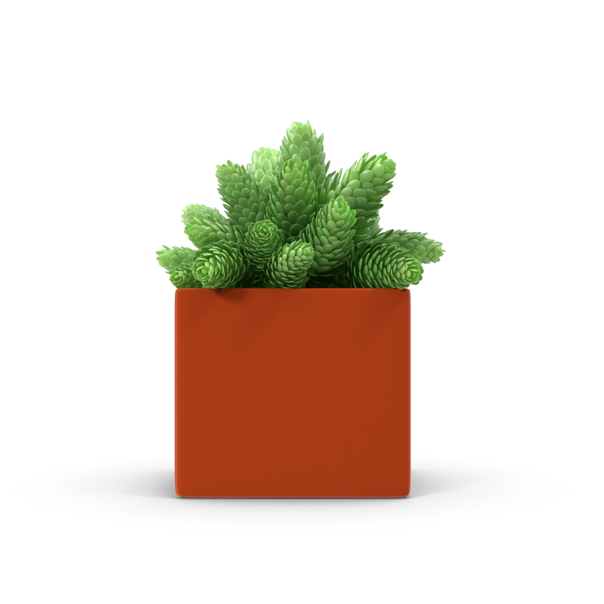 The Ember - NORMCORE™ Minimalistic