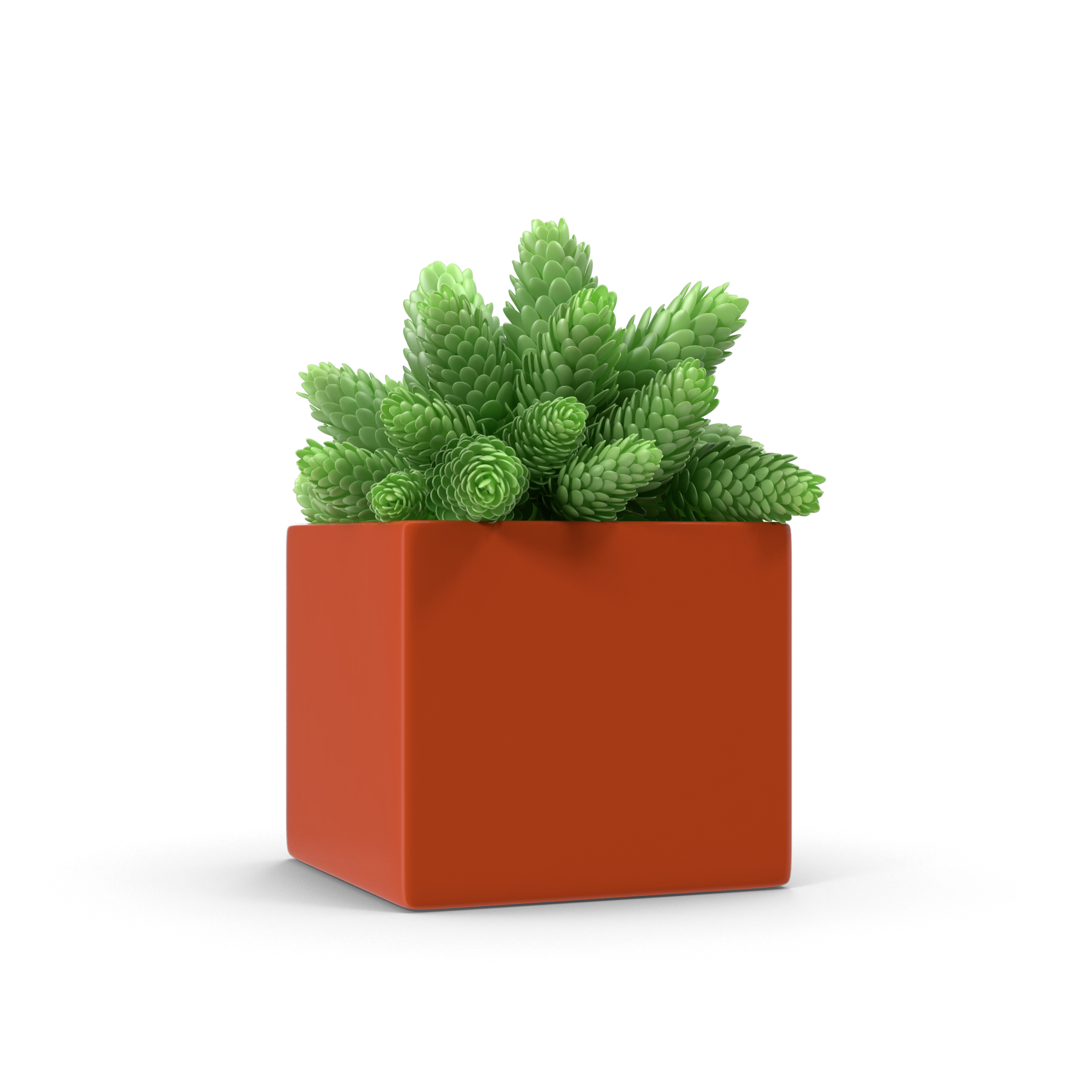 The Ember - NORMCORE™ Minimalistic