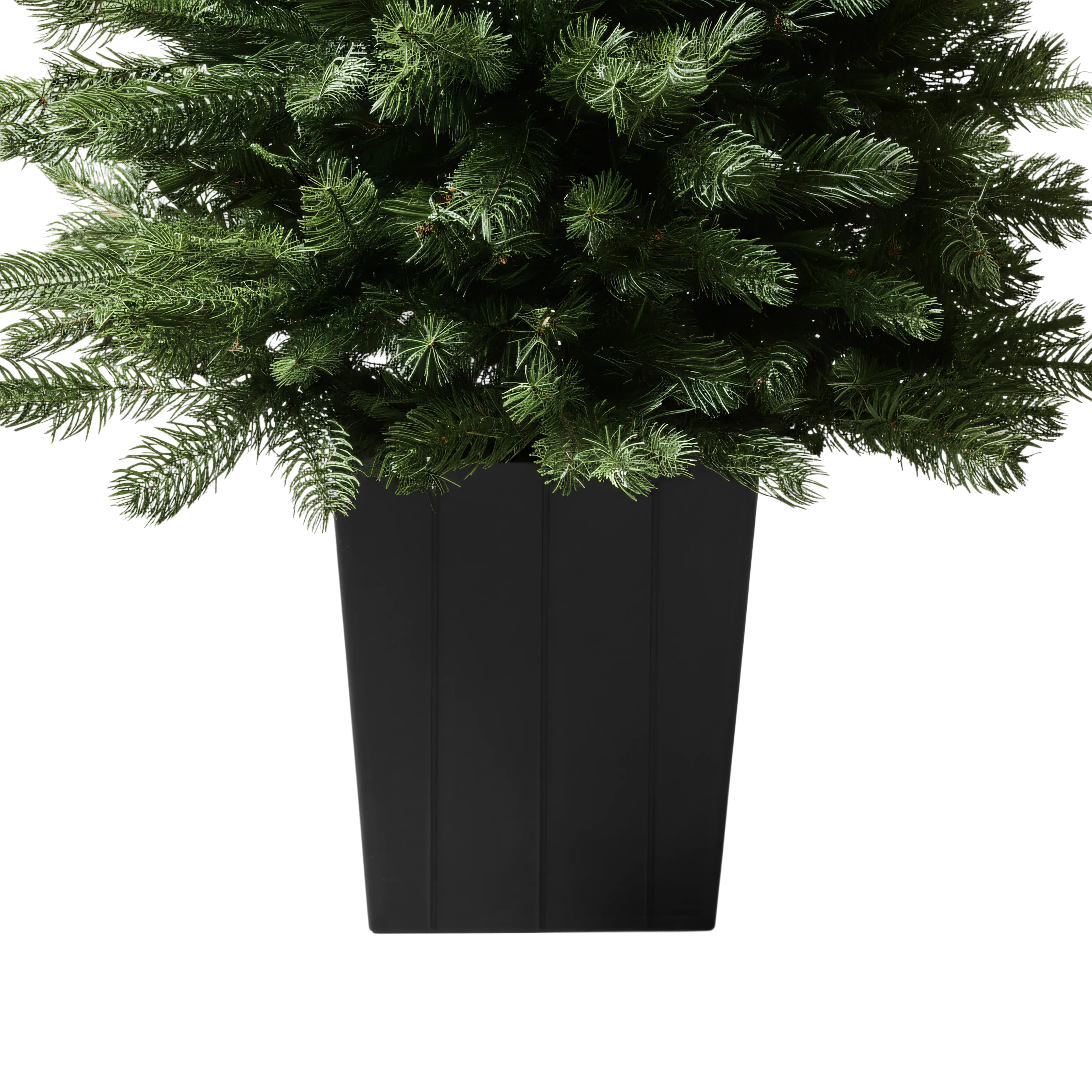 Modern Potted Pine Tree