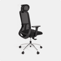 Cloud Ergonomic Chair - NORMCORE™ Minimalistic