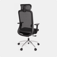 Cloud Ergonomic Chair - NORMCORE™ Minimalistic
