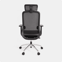 Cloud Ergonomic Chair - NORMCORE™ Minimalistic