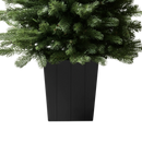 Modern Potted Pine Tree