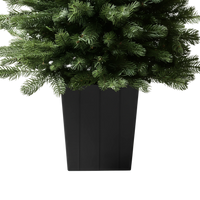 Modern Potted Pine Tree
