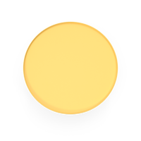 The Daffodil - NORMCORE™ Minimalistic
