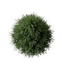 Realistic Pine Christmas Tree