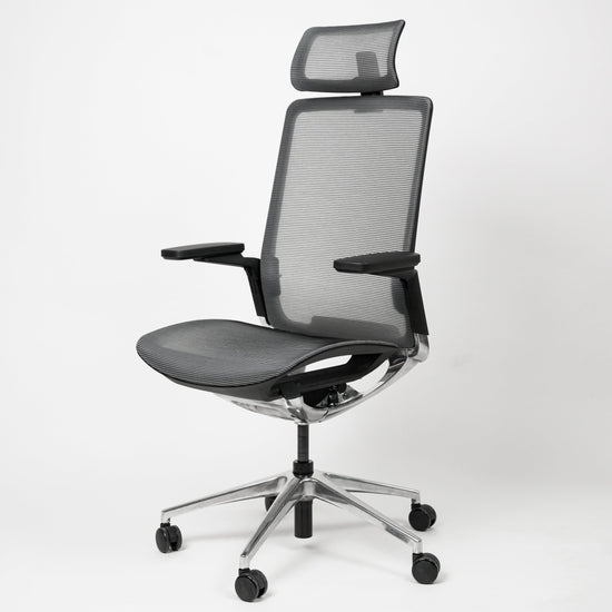 Sleek Ergonomic Chair